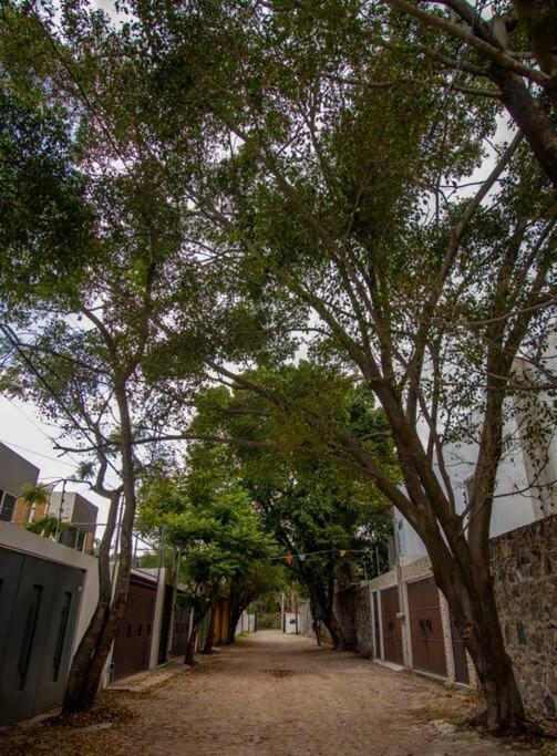 ヒウテペック ¡Nueva! Bamboo La Guayabaヴィラ エクステリア 写真